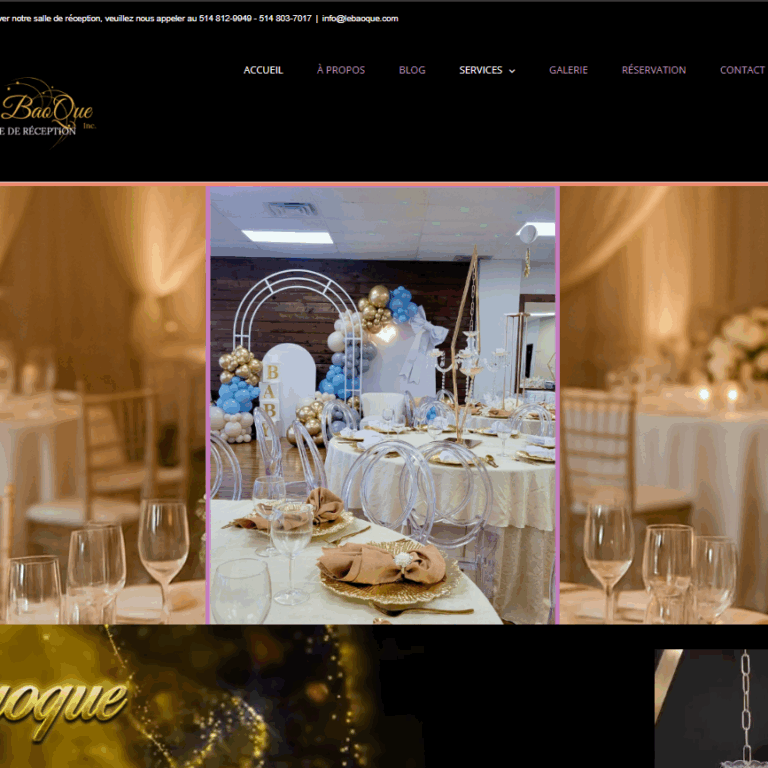 Brique Numérique – Site web le baoque